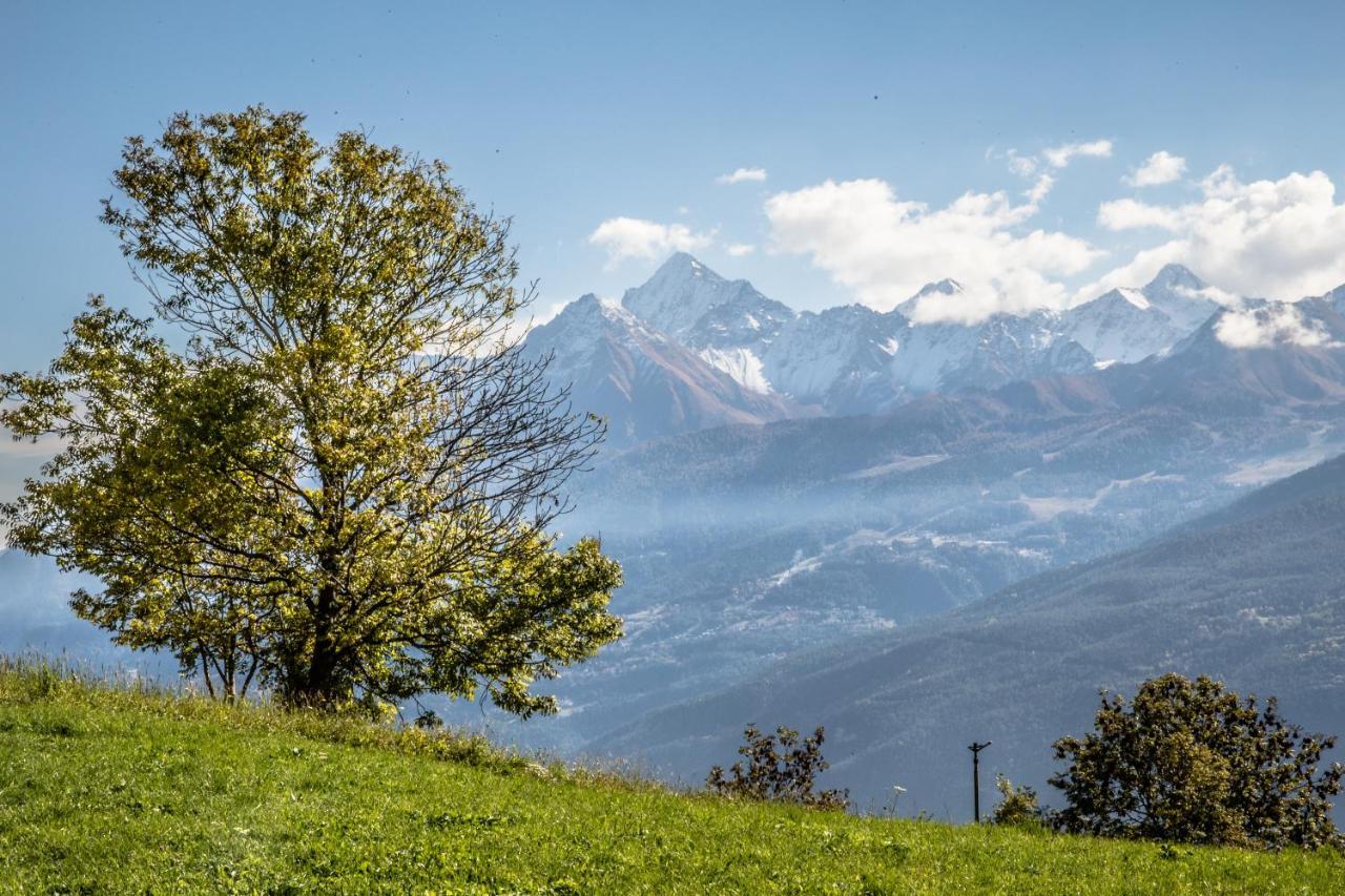 Hotel, Bar & Bistrot Saint Nicolas Gran Paradiso 외부 사진